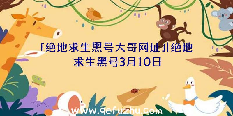 「绝地求生黑号大哥网址」|绝地求生黑号3月10日